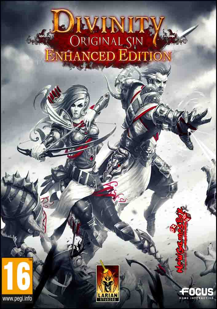 Divinity Original Sin - Enhanced Edition