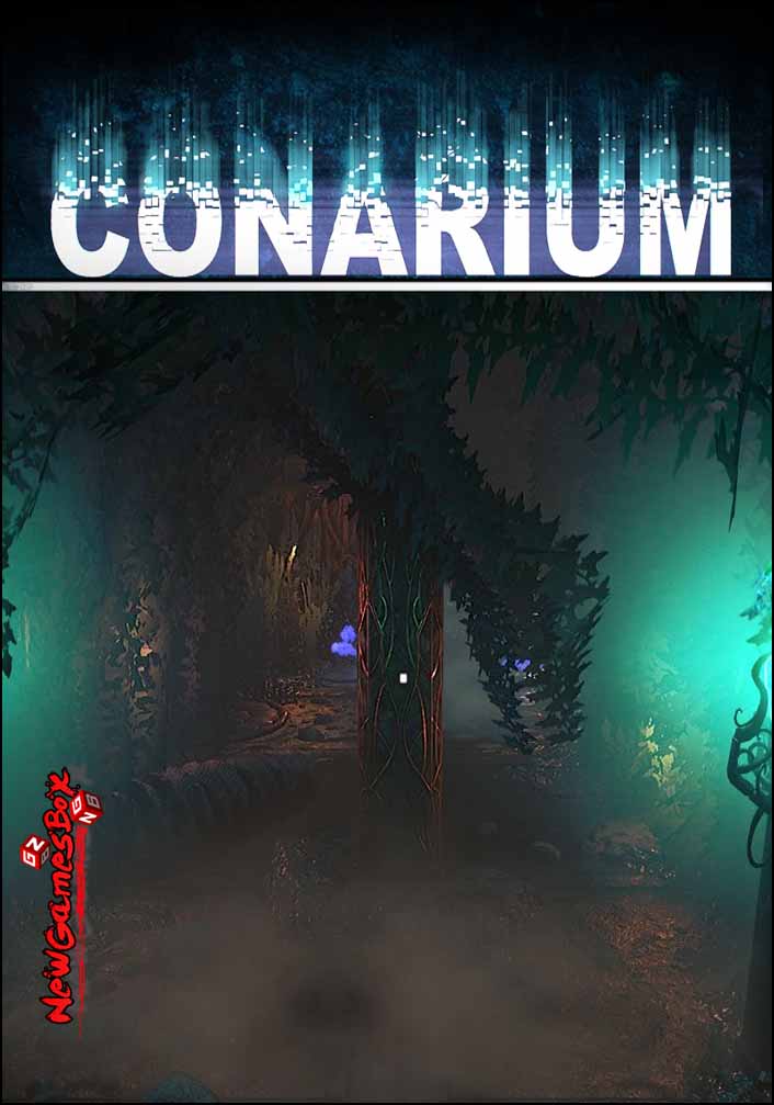 conarium bjd
